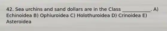 42. Sea urchins and sand dollars are in the Class ____________. A) Echinoidea B) Ophiuroidea C) Holothuroidea D) Crinoidea E) Asteroidea