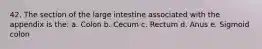 42. The section of the large intestine associated with the appendix is the: a. Colon b. Cecum c. Rectum d. Anus e. Sigmoid colon