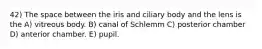 42) The space between the iris and ciliary body and the lens is the A) vitreous body. B) canal of Schlemm C) posterior chamber D) anterior chamber. E) pupil.
