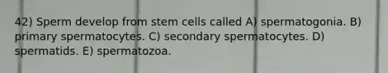 42) Sperm develop from stem cells called A) spermatogonia. B) primary spermatocytes. C) secondary spermatocytes. D) spermatids. E) spermatozoa.