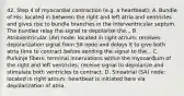 42. Step 4 of myocardial contraction (e.g. a heartbeat): A. Bundle of His: located in between the right and left atria and ventricles and gives rise to bundle branches in the interventricular septum. The bundles relay the signal to depolarize the... B. Atrioventricular (AV) node: located in right atrium; receives depolarization signal from SA node and delays it to give both atria time to contract before sending the signal to the... C. Purkinje fibers: terminal innervations within the myocardium of the right and left ventricles; receive signal to depolarize and stimulate both ventricles to contract. D. Sinoatrial (SA) node: located in right atrium; heartbeat is initiated here via depolarization of atria.