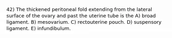 42) The thickened peritoneal fold extending from the lateral surface of the ovary and past the uterine tube is the A) broad ligament. B) mesovarium. C) rectouterine pouch. D) suspensory ligament. E) infundibulum.