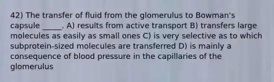 42) The transfer of fluid from the glomerulus to Bowman's capsule _____. A) results from active transport B) transfers large molecules as easily as small ones C) is very selective as to which subprotein-sized molecules are transferred D) is mainly a consequence of blood pressure in the capillaries of the glomerulus