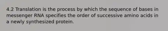 4.2 Translation is the process by which the sequence of bases in messenger RNA specifies the order of successive amino acids in a newly synthesized protein.