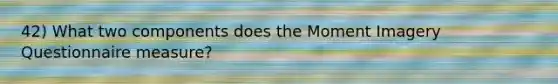 42) What two components does the Moment Imagery Questionnaire measure?