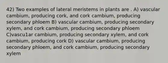 42) Two examples of lateral meristems in plants are . A) vascular cambium, producing cork, and cork cambium, producing secondary phloem B) vascular cambium, producing secondary xylem, and cork cambium, producing secondary phloem C)vascu1ar cambium, producing secondary xylem, and cork cambium, producing cork D) vascular cambium, producing secondary phloem, and cork cambium, producing secondary xylem