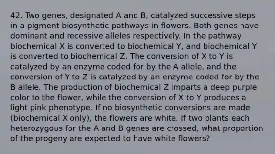 42. Two genes, designated A and B, catalyzed successive steps in a pigment biosynthetic pathways in flowers. Both genes have dominant and recessive alleles respectively. In the pathway biochemical X is converted to biochemical Y, and biochemical Y is converted to biochemical Z. The conversion of X to Y is catalyzed by an enzyme coded for by the A allele, and the conversion of Y to Z is catalyzed by an enzyme coded for by the B allele. The production of biochemical Z imparts a deep purple color to the flower, while the conversion of X to Y produces a light pink phenotype. If no biosynthetic conversions are made (biochemical X only), the flowers are white. If two plants each heterozygous for the A and B genes are crossed, what proportion of the progeny are expected to have white flowers?