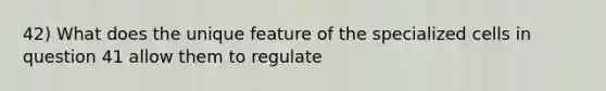 42) What does the unique feature of the specialized cells in question 41 allow them to regulate