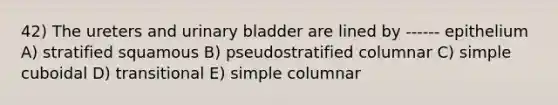 42) The ureters and urinary bladder are lined by ------ epithelium A) stratified squamous B) pseudostratified columnar C) simple cuboidal D) transitional E) simple columnar