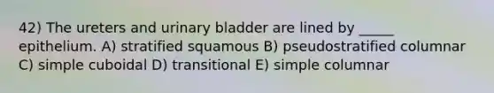 42) The ureters and urinary bladder are lined by _____ epithelium. A) stratified squamous B) pseudostratified columnar C) simple cuboidal D) transitional E) simple columnar