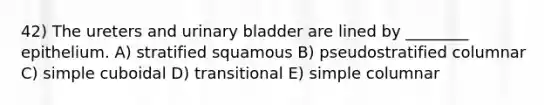 42) The ureters and <a href='https://www.questionai.com/knowledge/kb9SdfFdD9-urinary-bladder' class='anchor-knowledge'>urinary bladder</a> are lined by ________ epithelium. A) stratified squamous B) pseudostratified columnar C) simple cuboidal D) transitional E) simple columnar