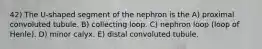 42) The U-shaped segment of the nephron is the A) proximal convoluted tubule. B) collecting loop. C) nephron loop (loop of Henle). D) minor calyx. E) distal convoluted tubule.