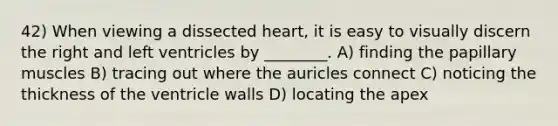 42) When viewing a dissected heart, it is easy to visually discern the right and left ventricles by ________. A) finding the papillary muscles B) tracing out where the auricles connect C) noticing the thickness of the ventricle walls D) locating the apex