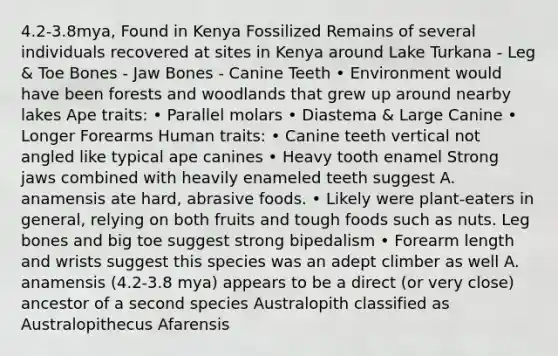 4.2-3.8mya, Found in Kenya Fossilized Remains of several individuals recovered at sites in Kenya around Lake Turkana - Leg & Toe Bones - Jaw Bones - Canine Teeth • Environment would have been forests and woodlands that grew up around nearby lakes Ape traits: • Parallel molars • Diastema & Large Canine • Longer Forearms Human traits: • Canine teeth vertical not angled like typical ape canines • Heavy tooth enamel Strong jaws combined with heavily enameled teeth suggest A. anamensis ate hard, abrasive foods. • Likely were plant-eaters in general, relying on both fruits and tough foods such as nuts. Leg bones and big toe suggest strong bipedalism • Forearm length and wrists suggest this species was an adept climber as well A. anamensis (4.2-3.8 mya) appears to be a direct (or very close) ancestor of a second species Australopith classified as Australopithecus Afarensis