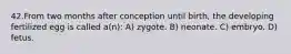 42.From two months after conception until birth, the developing fertilized egg is called a(n): A) zygote. B) neonate. C) embryo. D) fetus.