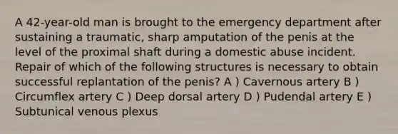 A 42-year-old man is brought to the emergency department after sustaining a traumatic, sharp amputation of the penis at the level of the proximal shaft during a domestic abuse incident. Repair of which of the following structures is necessary to obtain successful replantation of the penis? A ) Cavernous artery B ) Circumflex artery C ) Deep dorsal artery D ) Pudendal artery E ) Subtunical venous plexus