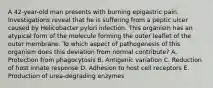 A 42-year-old man presents with burning epigastric pain. Investigations reveal that he is suffering from a peptic ulcer caused by Helicobacter pylori infection. This organism has an atypical form of the molecule forming the outer leaflet of the outer membrane. To which aspect of pathogenesis of this organism does this deviation from normal contribute? A. Protection from phagocytosis B. Antigenic variation C. Reduction of host innate response D. Adhesion to host cell receptors E. Production of urea-degrading enzymes