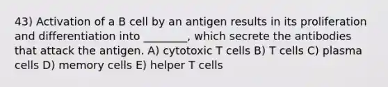 43) Activation of a B cell by an antigen results in its proliferation and differentiation into ________, which secrete the antibodies that attack the antigen. A) cytotoxic T cells B) T cells C) plasma cells D) memory cells E) helper T cells