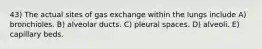 43) The actual sites of gas exchange within the lungs include A) bronchioles. B) alveolar ducts. C) pleural spaces. D) alveoli. E) capillary beds.