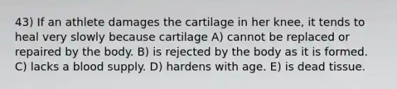 43) If an athlete damages the cartilage in her knee, it tends to heal very slowly because cartilage A) cannot be replaced or repaired by the body. B) is rejected by the body as it is formed. C) lacks a blood supply. D) hardens with age. E) is dead tissue.