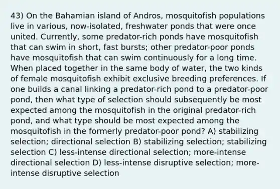 43) On the Bahamian island of Andros, mosquitofish populations live in various, now-isolated, freshwater ponds that were once united. Currently, some predator-rich ponds have mosquitofish that can swim in short, fast bursts; other predator-poor ponds have mosquitofish that can swim continuously for a long time. When placed together in the same body of water, the two kinds of female mosquitofish exhibit exclusive breeding preferences. If one builds a canal linking a predator-rich pond to a predator-poor pond, then what type of selection should subsequently be most expected among the mosquitofish in the original predator-rich pond, and what type should be most expected among the mosquitofish in the formerly predator-poor pond? A) stabilizing selection; directional selection B) stabilizing selection; stabilizing selection C) less-intense directional selection; more-intense directional selection D) less-intense disruptive selection; more-intense disruptive selection