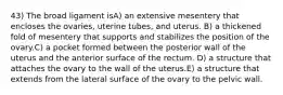 43) The broad ligament isA) an extensive mesentery that encloses the ovaries, uterine tubes, and uterus. B) a thickened fold of mesentery that supports and stabilizes the position of the ovary.C) a pocket formed between the posterior wall of the uterus and the anterior surface of the rectum. D) a structure that attaches the ovary to the wall of the uterus.E) a structure that extends from the lateral surface of the ovary to the pelvic wall.