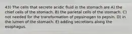 43) The cells that secrete acidic fluid in the stomach are A) the chief cells of the stomach. B) the parietal cells of the stomach. C) not needed for the transformation of pepsinogen to pepsin. D) in the lumen of the stomach. E) adding secretions along the esophagus.