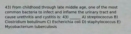 43) From childhood through late middle age, one of the most common bacteria to infect and inflame the urinary tract and cause urethritis and cystitis is: 43) ______ A) streptococcus B) Clostridium botulinum C) Escherichia coli D) staphylococcus E) Mycobacterium tuberculosis