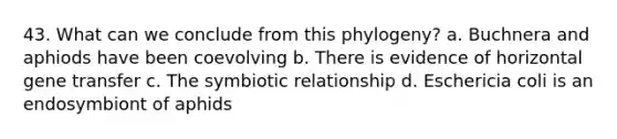 43. What can we conclude from this phylogeny? a. Buchnera and aphiods have been coevolving b. There is evidence of horizontal gene transfer c. The symbiotic relationship d. Eschericia coli is an endosymbiont of aphids