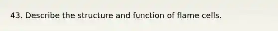 43. Describe the structure and function of flame cells.