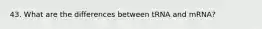 43. What are the differences between tRNA and mRNA?