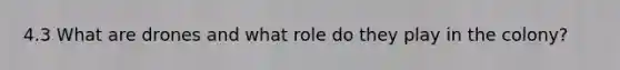 4.3 What are drones and what role do they play in the colony?