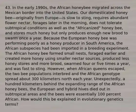 43. In the early 1990s, the African honeybee migrated across the Mexican border into the United States. Our domesticated honey bee—originally from Europe—is slow to sting, requires abundant flower nectar, forages later in the morning, does not tolerate subtropical conditions as well as the "Africanized" honey bee, and stores much honey but only produces enough new brood to swarm once a year. Because the European honey bee was performing poorly as a honey producer in South America, the African subspecies had been imported in a breeding experiment. The African honey bee formed small nests, foraged earlier and created more honey using smaller nectar sources, produced less honey stores and more brood, swarmed four or five times a year, and was fast to sting. However, when African queens escaped, the two bee populations interbred and the African genotype spread about 300 kilometers north each year. Unexpectedly, a hundred kilometers behind the expanding range of the African honey bees, the European and hybrid hives died out in subtropical areas and the bees were essentially 100 percent African. How would this be explained in evolutionary genetics terms?