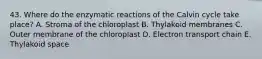 43. Where do the enzymatic reactions of the Calvin cycle take place? A. Stroma of the chloroplast B. Thylakoid membranes C. Outer membrane of the chloroplast D. Electron transport chain E. Thylakoid space