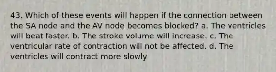 43. Which of these events will happen if the connection between the SA node and the AV node becomes blocked? a. The ventricles will beat faster. b. The stroke volume will increase. c. The ventricular rate of contraction will not be affected. d. The ventricles will contract more slowly