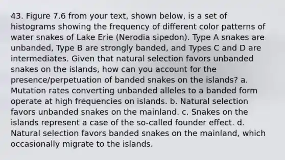 43. Figure 7.6 from your text, shown below, is a set of histograms showing the frequency of different color patterns of water snakes of Lake Erie (Nerodia sipedon). Type A snakes are unbanded, Type B are strongly banded, and Types C and D are intermediates. Given that <a href='https://www.questionai.com/knowledge/kAcbTwWr3l-natural-selection' class='anchor-knowledge'>natural selection</a> favors unbanded snakes on the islands, how can you account for the presence/perpetuation of banded snakes on the islands? a. Mutation rates converting unbanded alleles to a banded form operate at high frequencies on islands. b. Natural selection favors unbanded snakes on the mainland. c. Snakes on the islands represent a case of the so-called founder effect. d. Natural selection favors banded snakes on the mainland, which occasionally migrate to the islands.