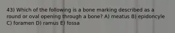 43) Which of the following is a bone marking described as a round or oval opening through a bone? A) meatus B) epidoncyle C) foramen D) ramus E) fossa