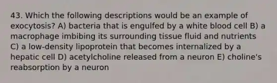 43. Which the following descriptions would be an example of exocytosis? A) bacteria that is engulfed by a white blood cell B) a macrophage imbibing its surrounding tissue fluid and nutrients C) a low-density lipoprotein that becomes internalized by a hepatic cell D) acetylcholine released from a neuron E) choline's reabsorption by a neuron