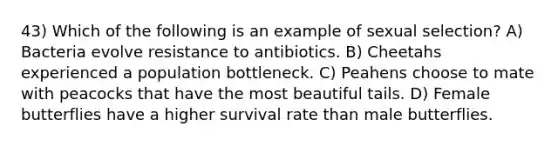 43) Which of the following is an example of sexual selection? A) Bacteria evolve resistance to antibiotics. B) Cheetahs experienced a population bottleneck. C) Peahens choose to mate with peacocks that have the most beautiful tails. D) Female butterflies have a higher survival rate than male butterflies.