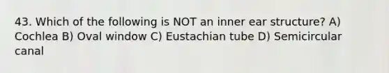 43. Which of the following is NOT an inner ear structure? A) Cochlea B) Oval window C) Eustachian tube D) Semicircular canal