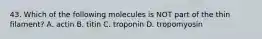 43. Which of the following molecules is NOT part of the thin filament? A. actin B. titin C. troponin D. tropomyosin