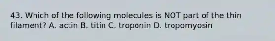 43. Which of the following molecules is NOT part of the thin filament? A. actin B. titin C. troponin D. tropomyosin