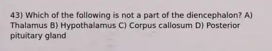 43) Which of the following is not a part of the diencephalon? A) Thalamus B) Hypothalamus C) Corpus callosum D) Posterior pituitary gland