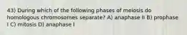 43) During which of the following phases of meiosis do homologous chromosomes separate? A) anaphase II B) prophase I C) mitosis D) anaphase I