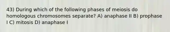 43) During which of the following phases of meiosis do homologous chromosomes separate? A) anaphase II B) prophase I C) mitosis D) anaphase I