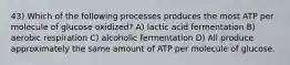 43) Which of the following processes produces the most ATP per molecule of glucose oxidized? A) lactic acid fermentation B) aerobic respiration C) alcoholic fermentation D) All produce approximately the same amount of ATP per molecule of glucose.