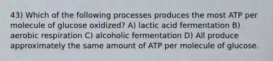 43) Which of the following processes produces the most ATP per molecule of glucose oxidized? A) lactic acid fermentation B) aerobic respiration C) alcoholic fermentation D) All produce approximately the same amount of ATP per molecule of glucose.