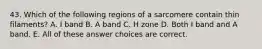 43. Which of the following regions of a sarcomere contain thin filaments? A. I band B. A band C. H zone D. Both I band and A band. E. All of these answer choices are correct.