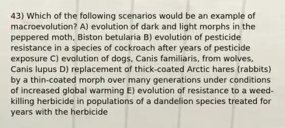 43) Which of the following scenarios would be an example of macroevolution? A) evolution of dark and light morphs in the peppered moth, Biston betularia B) evolution of pesticide resistance in a species of cockroach after years of pesticide exposure C) evolution of dogs, Canis familiaris, from wolves, Canis lupus D) replacement of thick-coated Arctic hares (rabbits) by a thin-coated morph over many generations under conditions of increased global warming E) evolution of resistance to a weed-killing herbicide in populations of a dandelion species treated for years with the herbicide