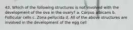 43. Which of the following structures is not involved with the development of the ova in the ovary? a. Corpus albicans b. Follicular cells c. Zona pellucida d. All of the above structures are involved in the development of the egg cell